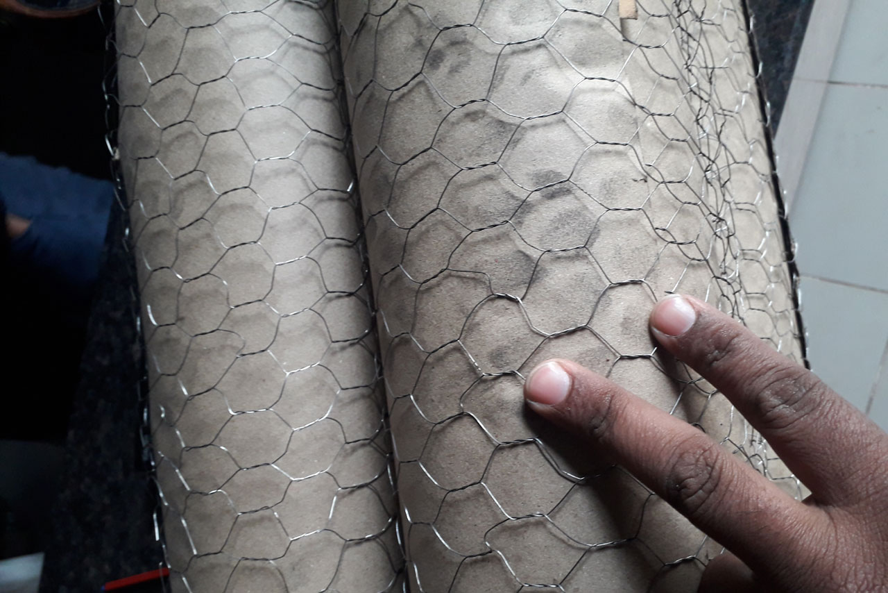 Chicken / Hexagonal Mesh